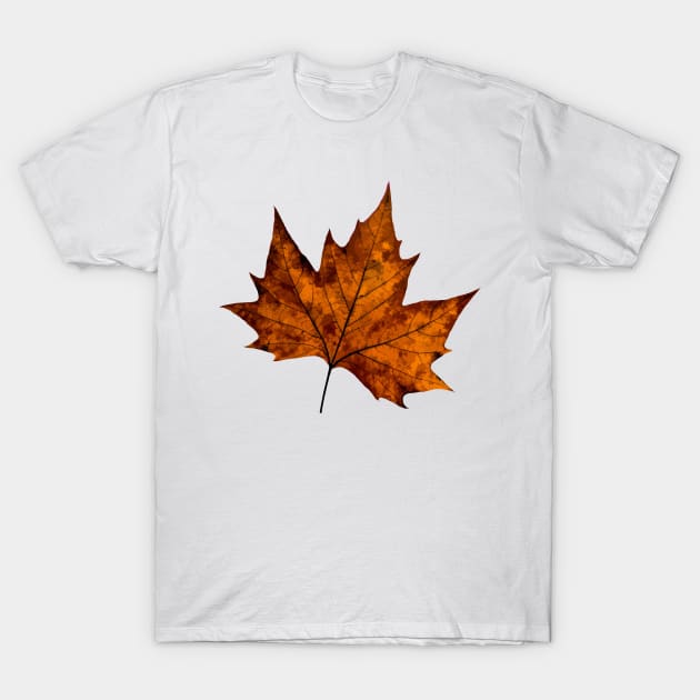 Maple Autumn Leaves T-Shirt by DenAlex